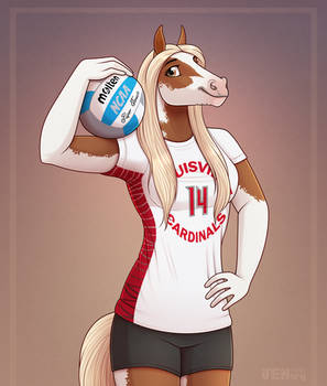 volleyball filly