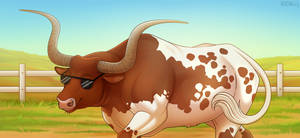 Texas longhorn