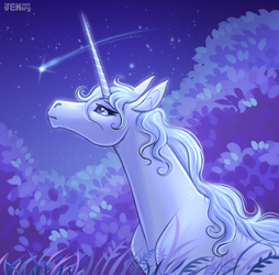 Make a wish
