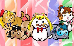 SAILOR MOON KITTIES