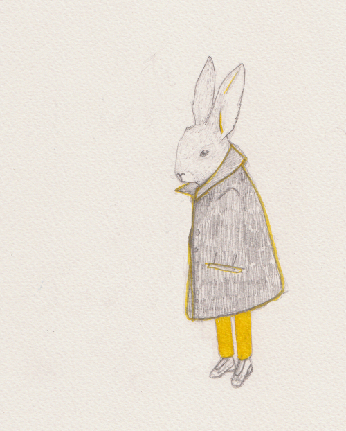 mr rabbit 2