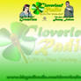 Cloverleaf Radio - Stock Flyer