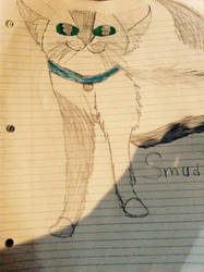 Warrior Cats: Smudge