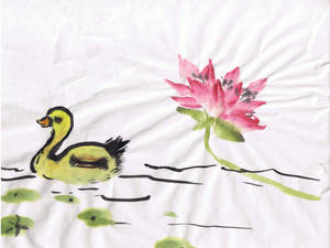 Duck and Water Lotus