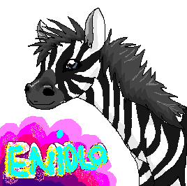 Zebra for a friend