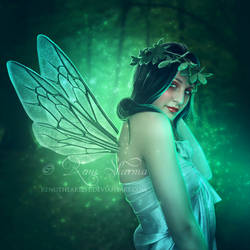 Fairy of the Forest