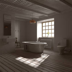 3D Rustic Bathroom