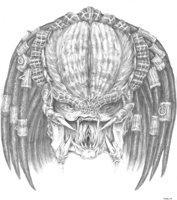 predator Pencil Study 2