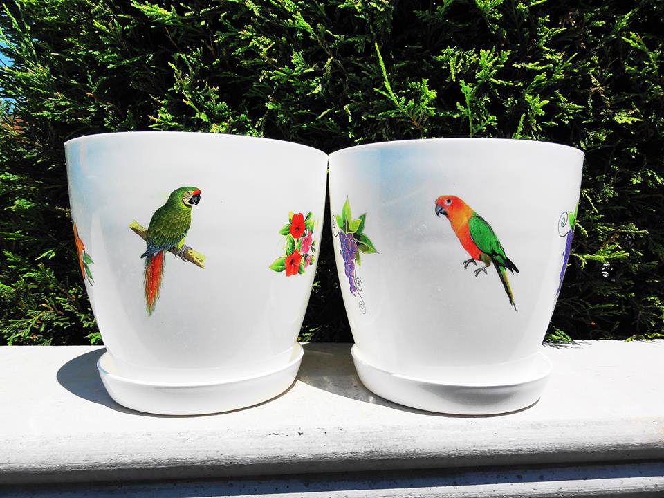 Plastic flower pots. Parrots birds motif.