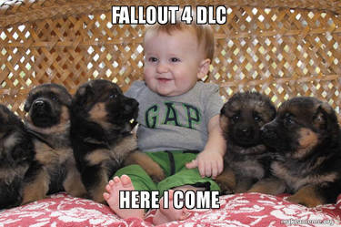 Fallout fans in a nutshell (With Puppy dogmeat!)