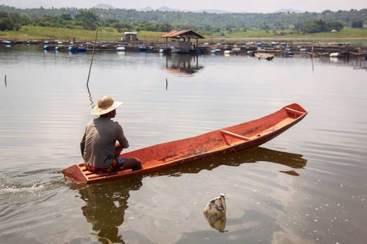 On A Lake