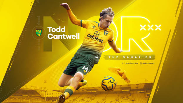 Todd Cantwell (Norwich City)