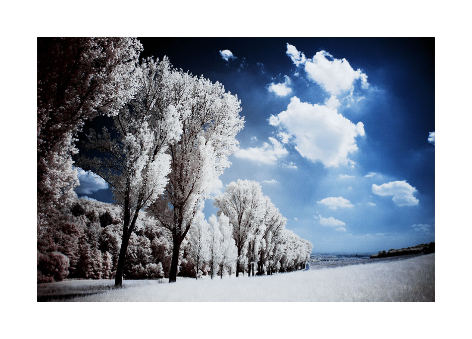 This Infrared World