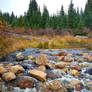 Rocky Mountains Scenery 2