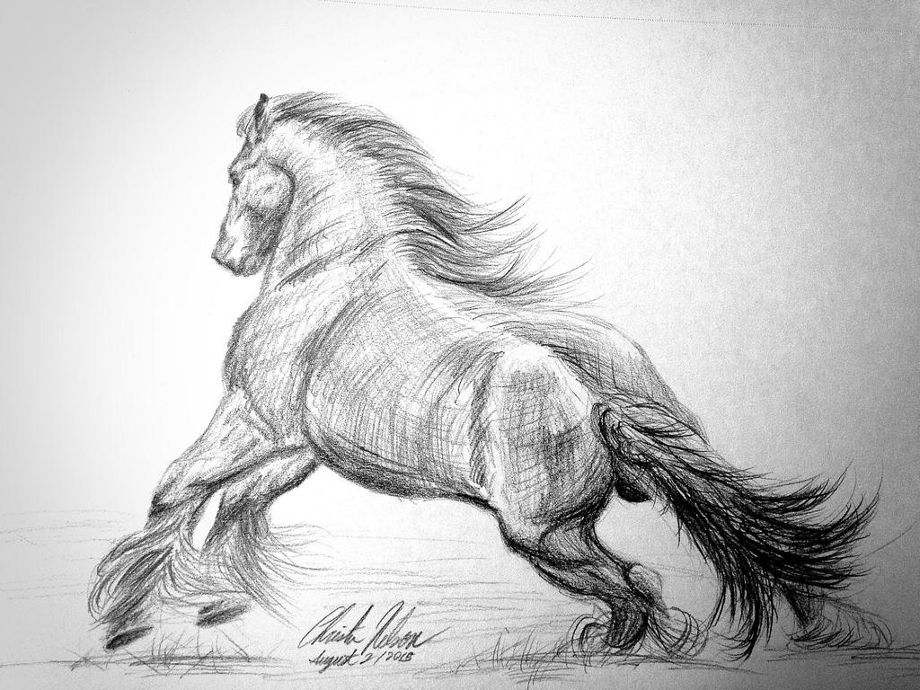 Horse Practice