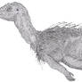 Atlascopcosaurus loadsi