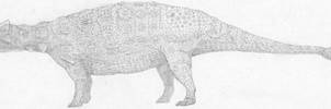Ankylosaurus magniventris