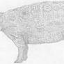 Ankylosaurus magniventris