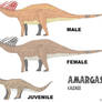 LtL Amargasaurus