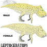 LtL Leptoceratops