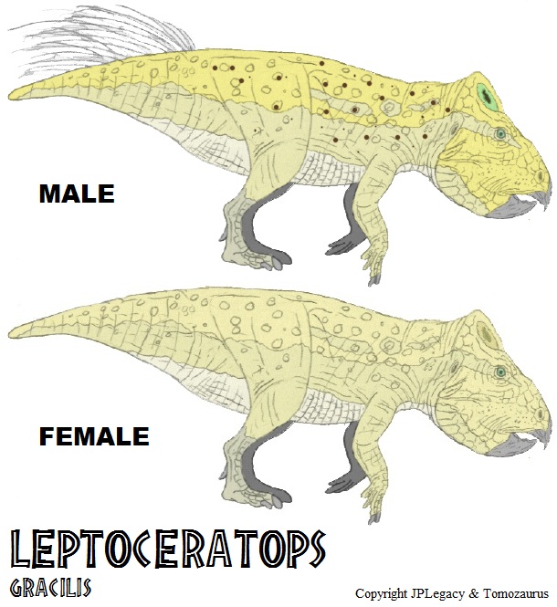 LtL Leptoceratops