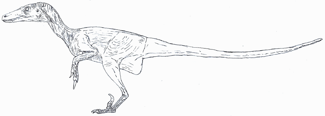 Nudist Velociraptor lineart