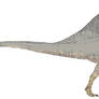 Spinosaurus colored