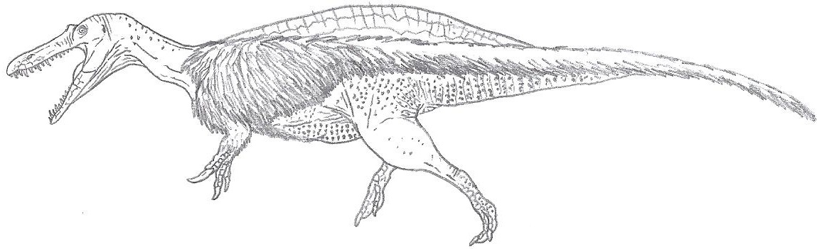 Suchomimus in fluffy glory