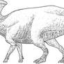 Parasaurolophus lines revised