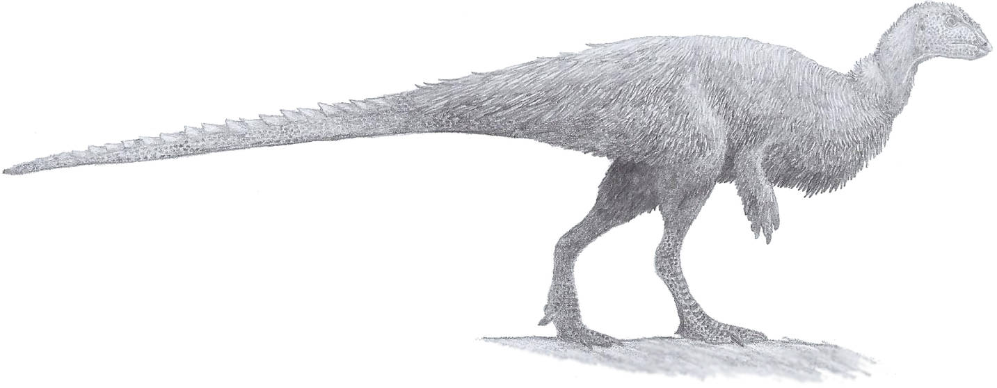 Mountain Runner by Tomozaurus