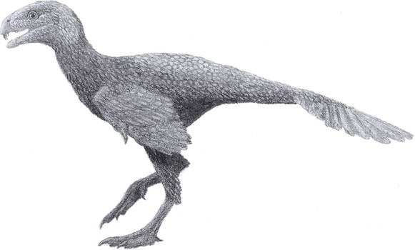 Incisivosaurus