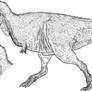 Tyrannosaurus 2014