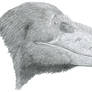 Sketchy Nanuqsaurus