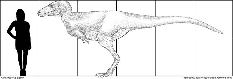 alectrosaurus Explore alectrosaurus on DeviantArt