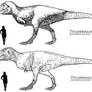 Tyrannosaurus variants 2015