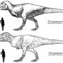 Tyrannosaurus variants 2015