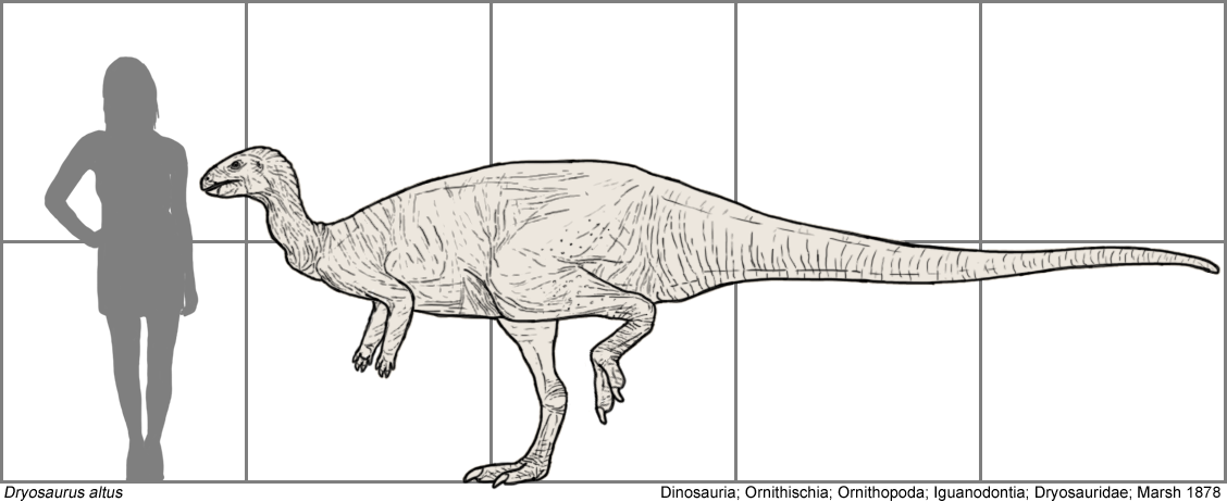 Upland Forest Saurian