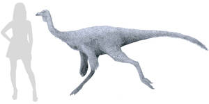 The One That is Not Struthiomimus