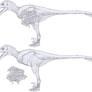 Minimum Feather Dakotaraptor