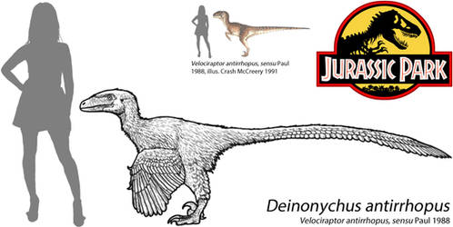 Jurassic Park 2016 - Velociraptor