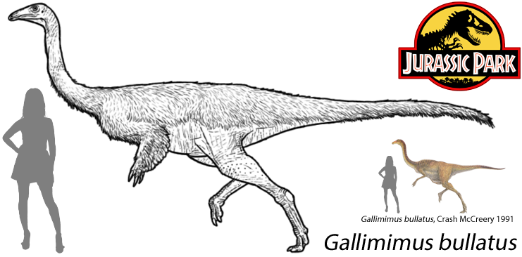 Jurassic Park 2016 - Gallimimus