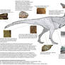 Tyrannosauroid integument composite