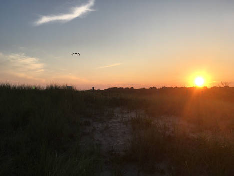 Amagansett Sunset 3