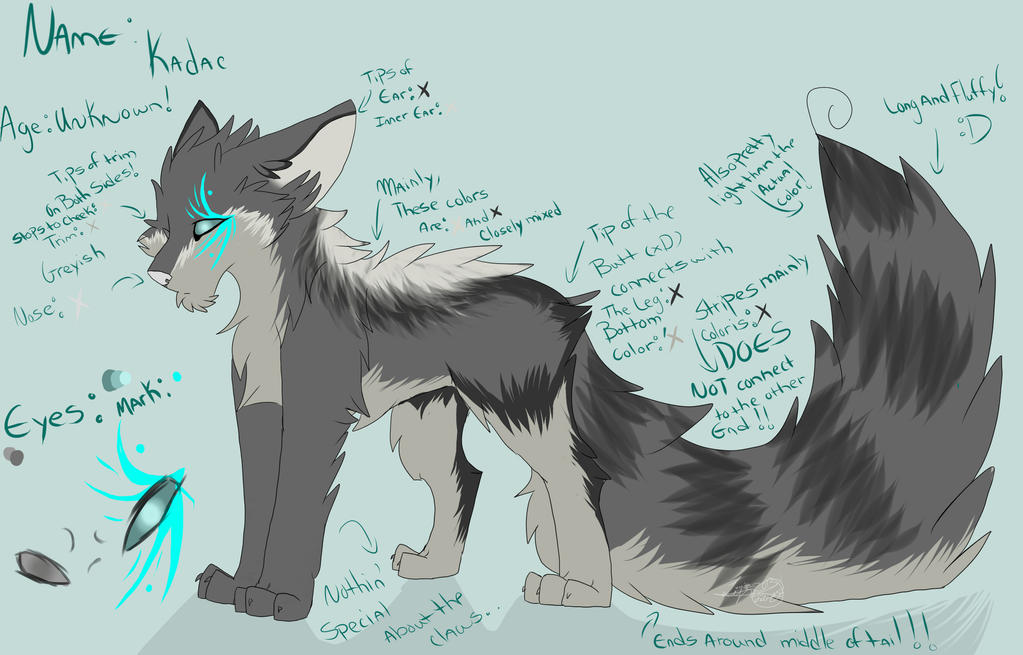 Kadac Ref Of 2013~