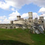 Castle in Ogrodzieniec by Chrucik