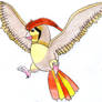 Pidgeotto