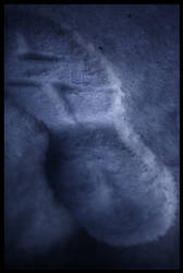 Footprint