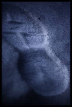 Footprint