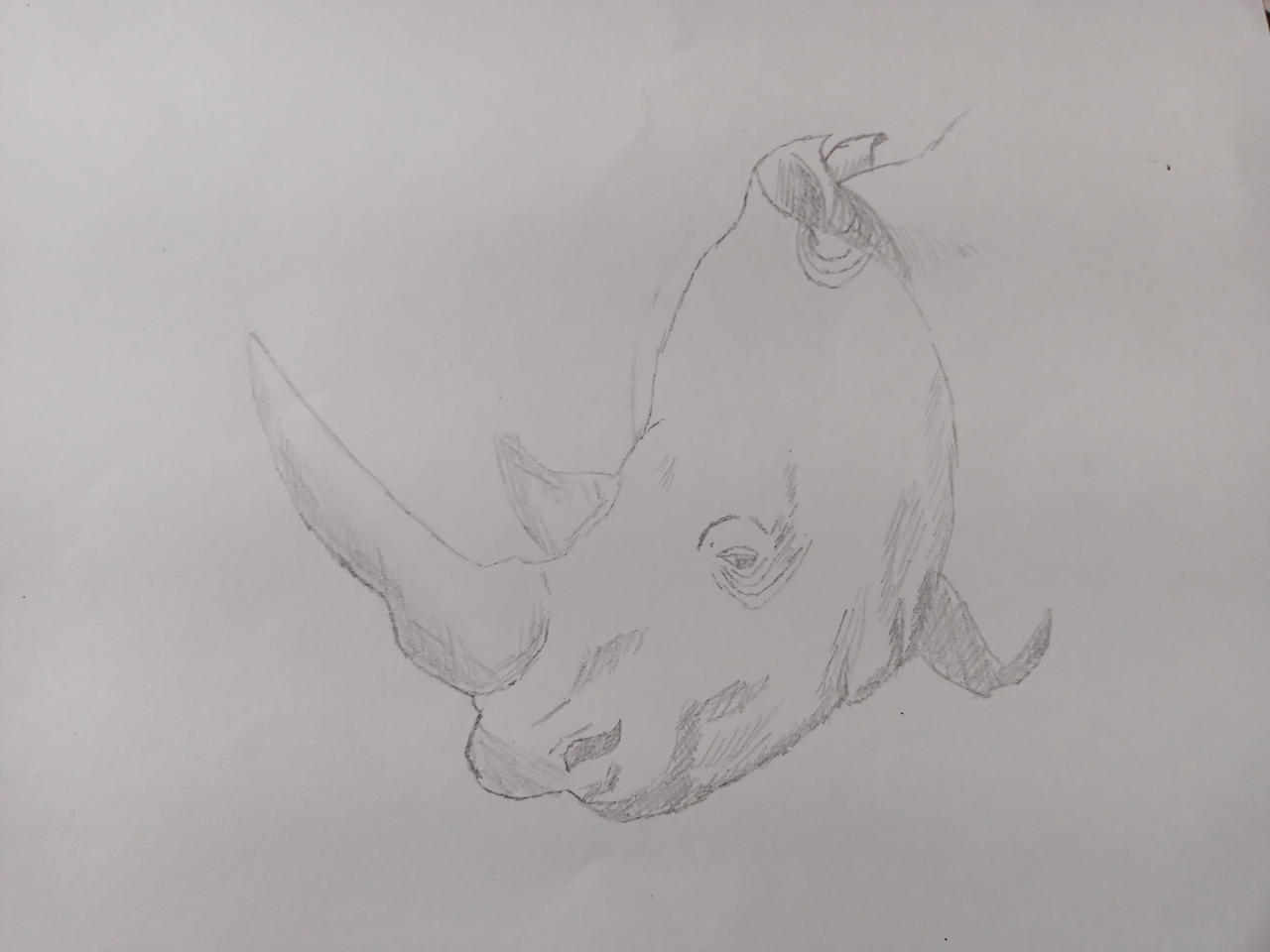 Dinosaur Rinconsaurus Drawing Rhinoceros Drawing by AnimArtG on DeviantArt