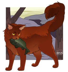 Bildergebnis für oakheart warrior cats
